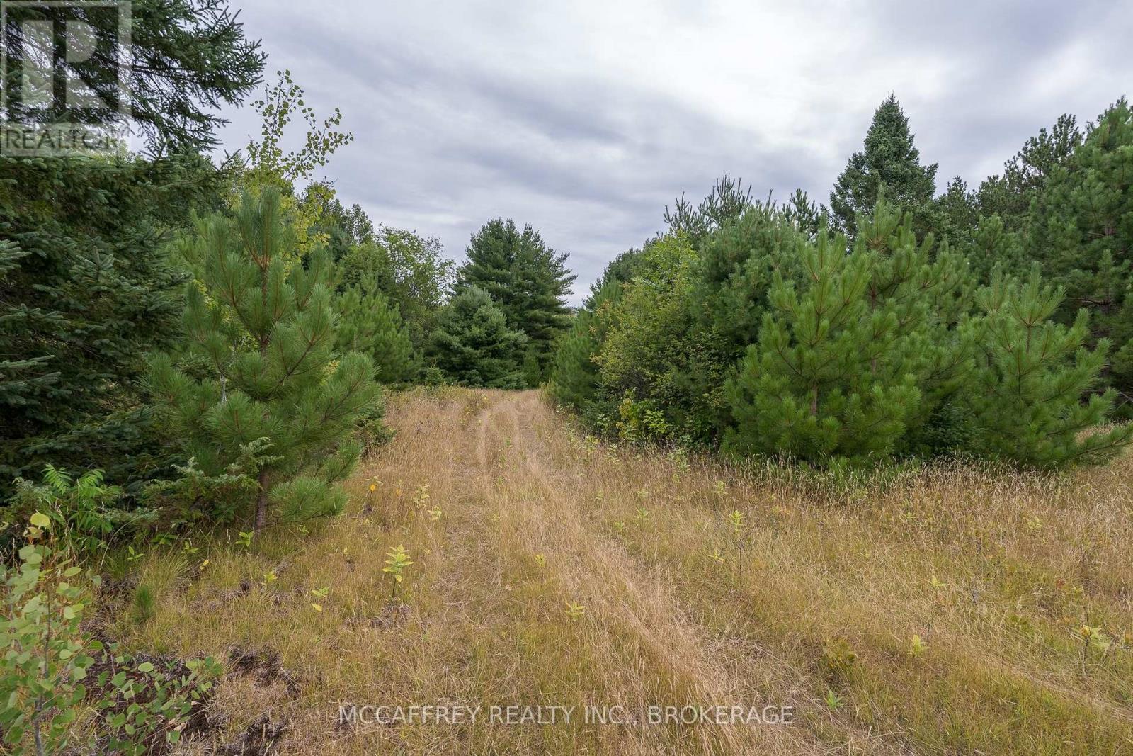 0 Flying Club Road, Greater Madawaska, Ontario  K7R 2Z6 - Photo 40 - X12393865