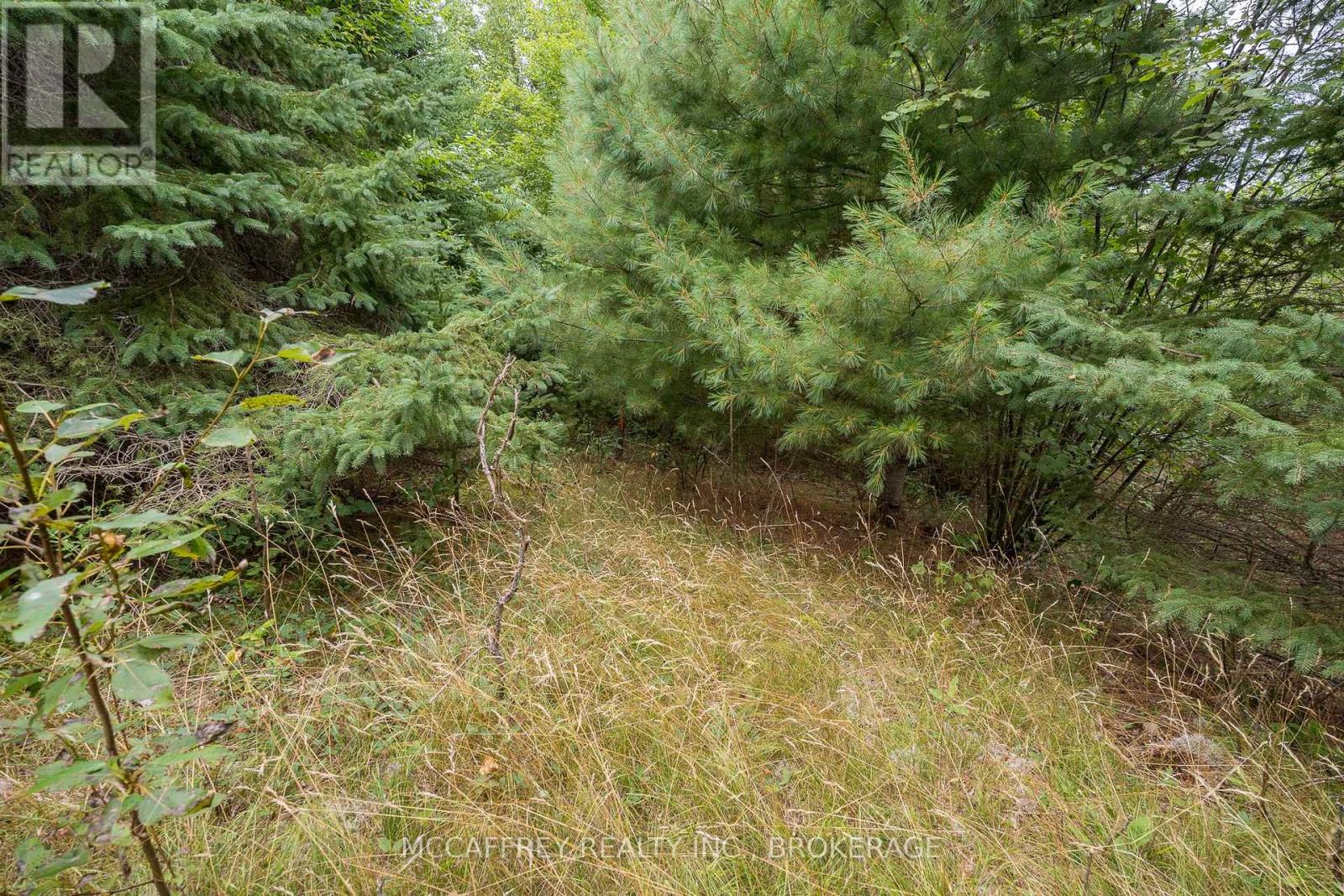 0 Flying Club Road, Greater Madawaska, Ontario  K7R 2Z6 - Photo 42 - X12393865