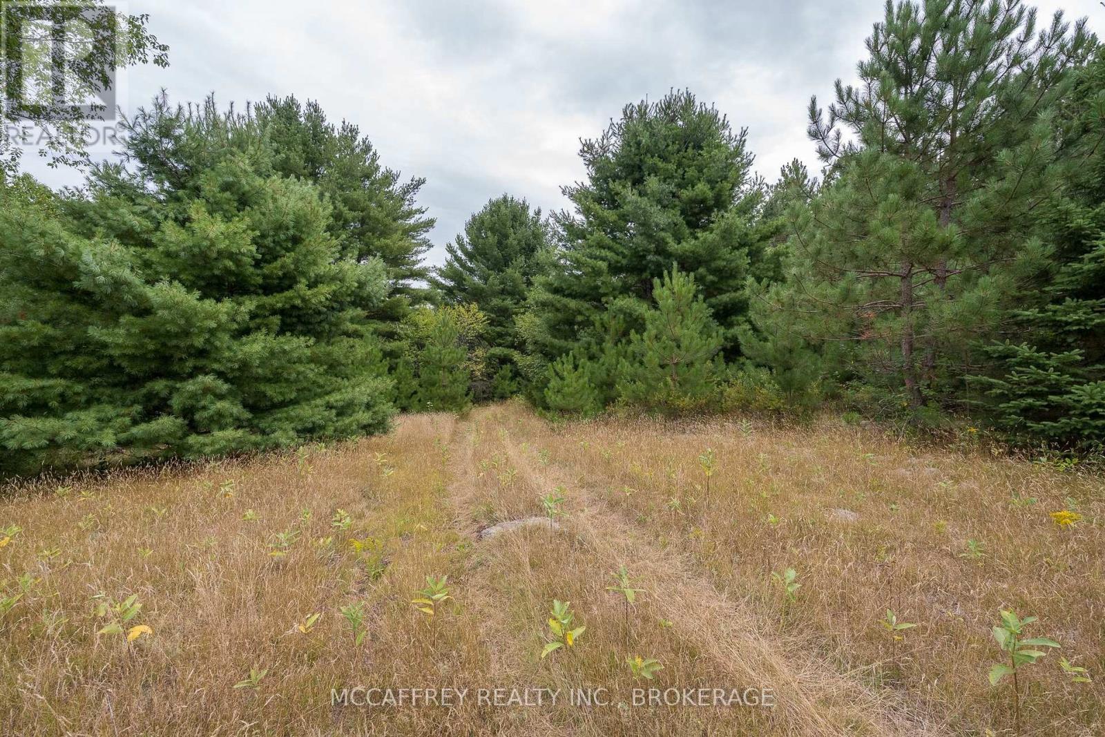 0 Flying Club Road, Greater Madawaska, Ontario  K7R 2Z6 - Photo 45 - X12393865
