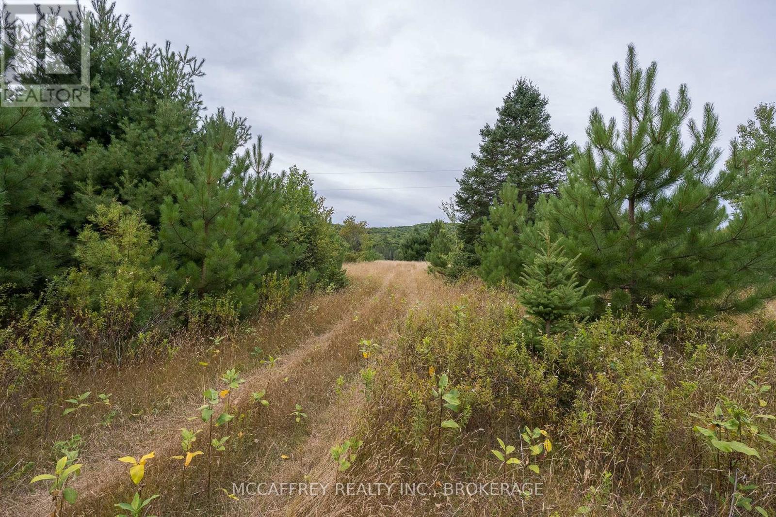 0 Flying Club Road, Greater Madawaska, Ontario  K7R 2Z6 - Photo 46 - X12393865