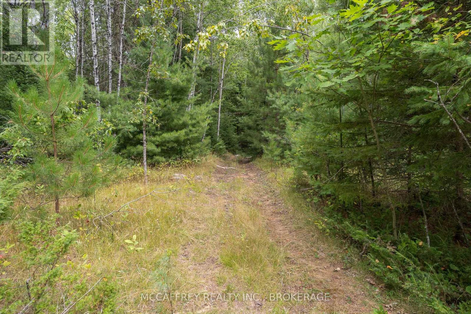 0 Flying Club Road, Greater Madawaska, Ontario  K7R 2Z6 - Photo 47 - X12393865