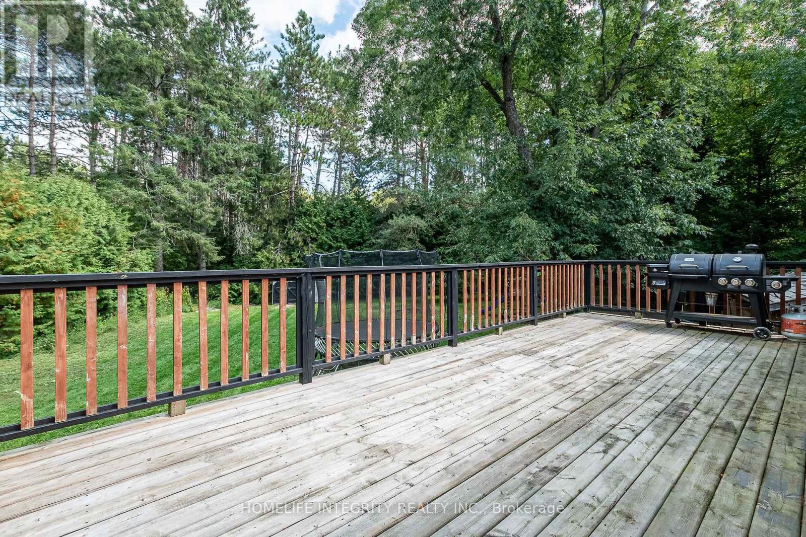37 Manniku Road, Georgina, Ontario  L9P 1R2 - Photo 40 - N12393322