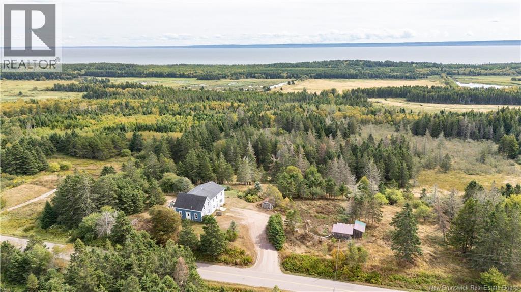 899 Route 915, New Horton, New Brunswick  E4H 3S9 - Photo 45 - NB125672
