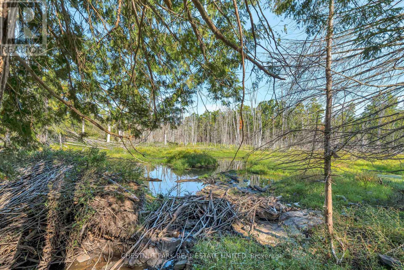 682 Felbers Road, Tudor And Cashel, Ontario  K0K 1Y0 - Photo 34 - X12393936