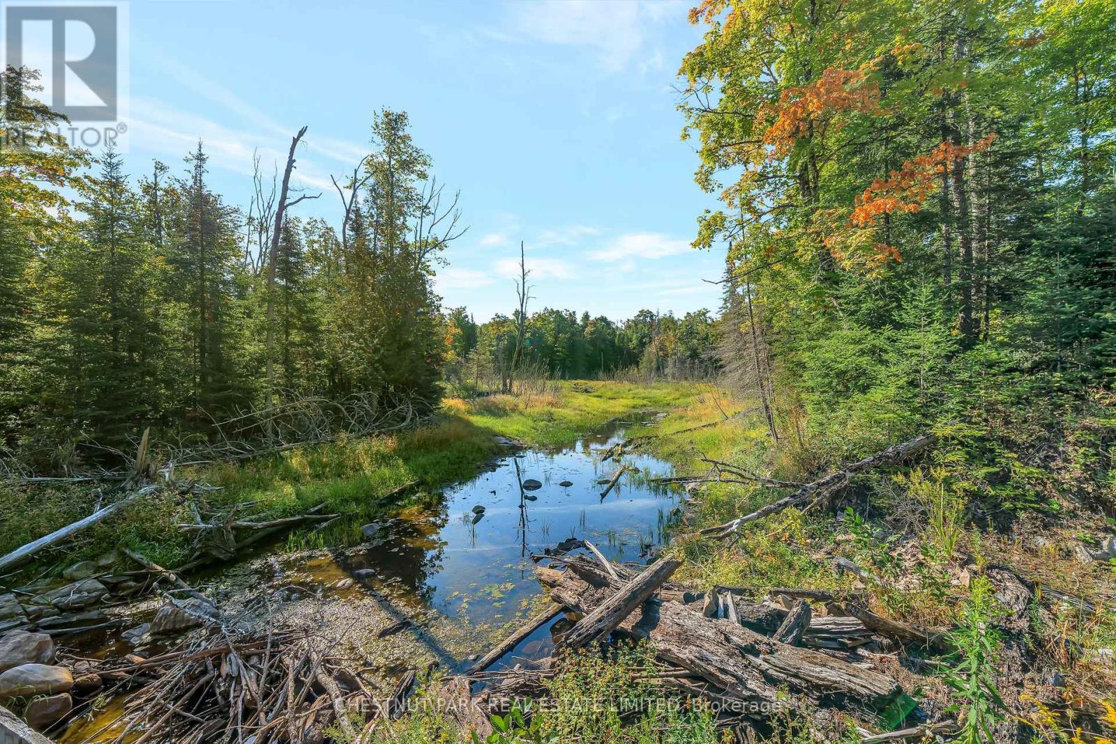 682 Felbers Road, Tudor And Cashel, Ontario  K0K 1Y0 - Photo 39 - X12393936