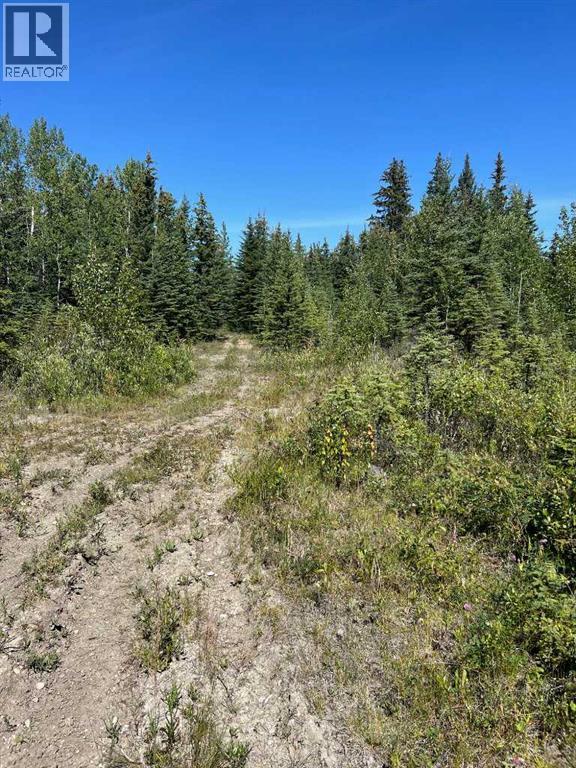 - Nw 32-70-9-W6, Beaverlodge, Alberta  T0H 0C0 - Photo 30 - A2253806