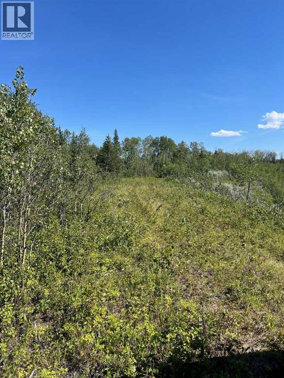 - Nw 32-70-9-W6, Beaverlodge, Alberta  T0H 0C0 - Photo 34 - A2253806