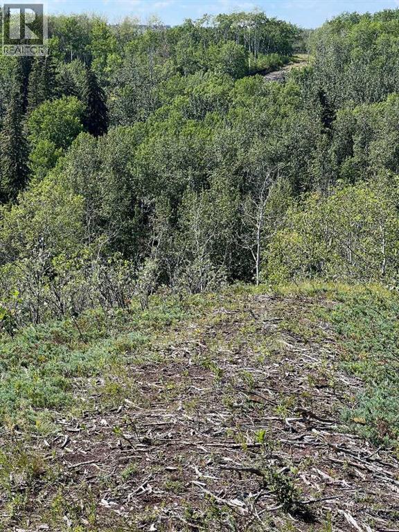 - Nw 32-70-9-W6, Beaverlodge, Alberta  T0H 0C0 - Photo 32 - A2253806