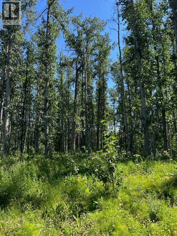 - Nw 32-70-9-W6, Beaverlodge, Alberta  T0H 0C0 - Photo 33 - A2253806