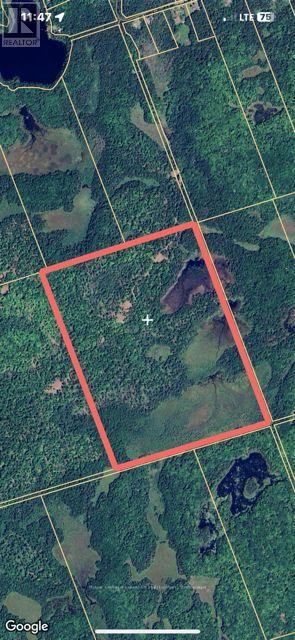 1407 Paynes Road, Highlands East, Ontario  K0M 2Y0 - Photo 10 - X12394240