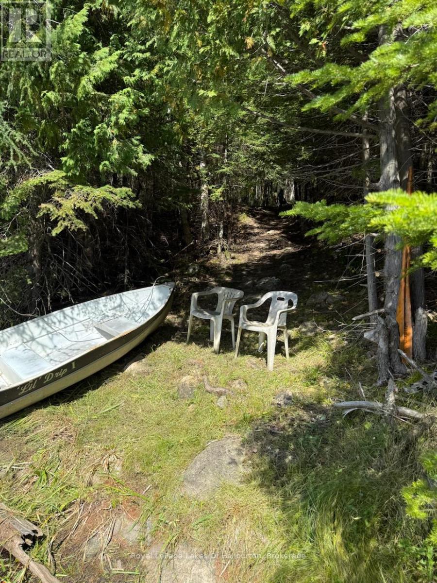 1407 Paynes Road, Highlands East, Ontario  K0M 2Y0 - Photo 22 - X12394240