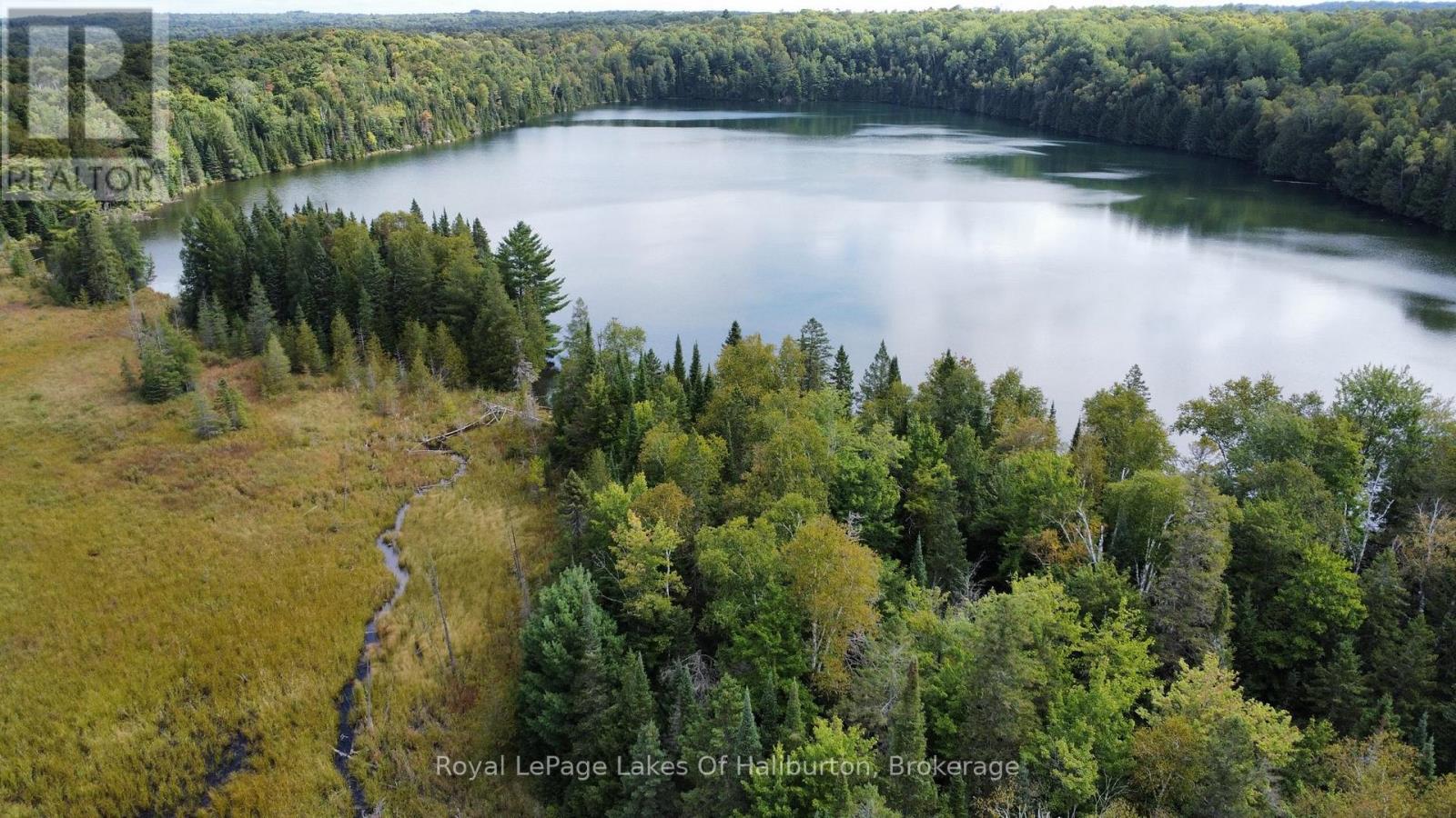 1407 Paynes Road, Highlands East, Ontario  K0M 2Y0 - Photo 24 - X12394240
