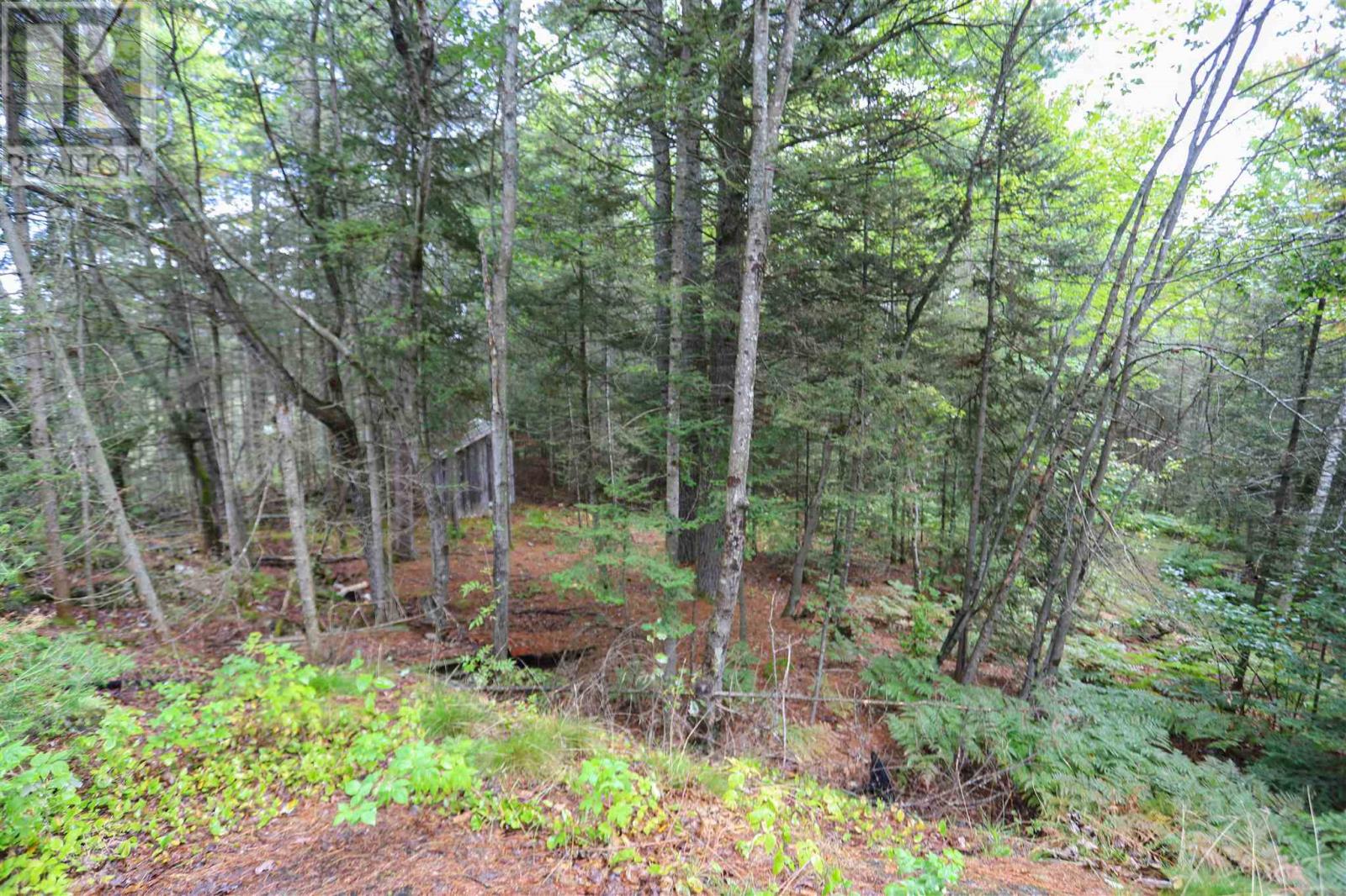 . Area Of Feltham Rd/huron Shores, Huron Shores, Ontario  P0R 1L0 - Photo 21 - SM252544