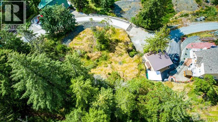 Lot 19 Kestrel Dr, Lake Cowichan, British Columbia  V0R 2G1 - Photo 3 - 1013396