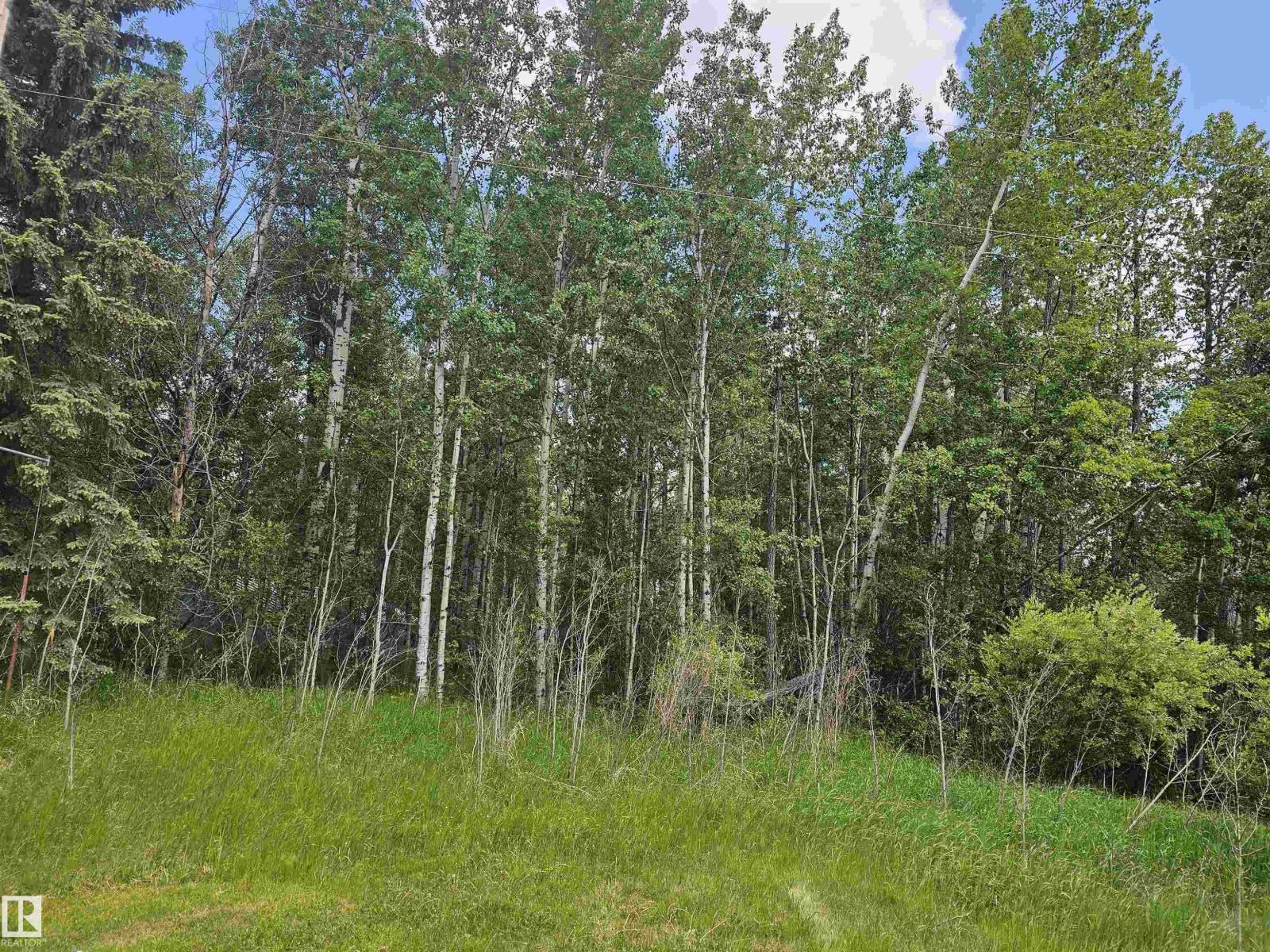 82 4418 Hwy 633, Rural Lac Ste. Anne County, Alberta  T0E 0L0 - Photo 4 - E4457036