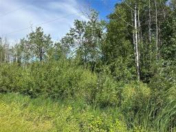 Property: 37 Linden Lane, Gimli RM, Manitoba