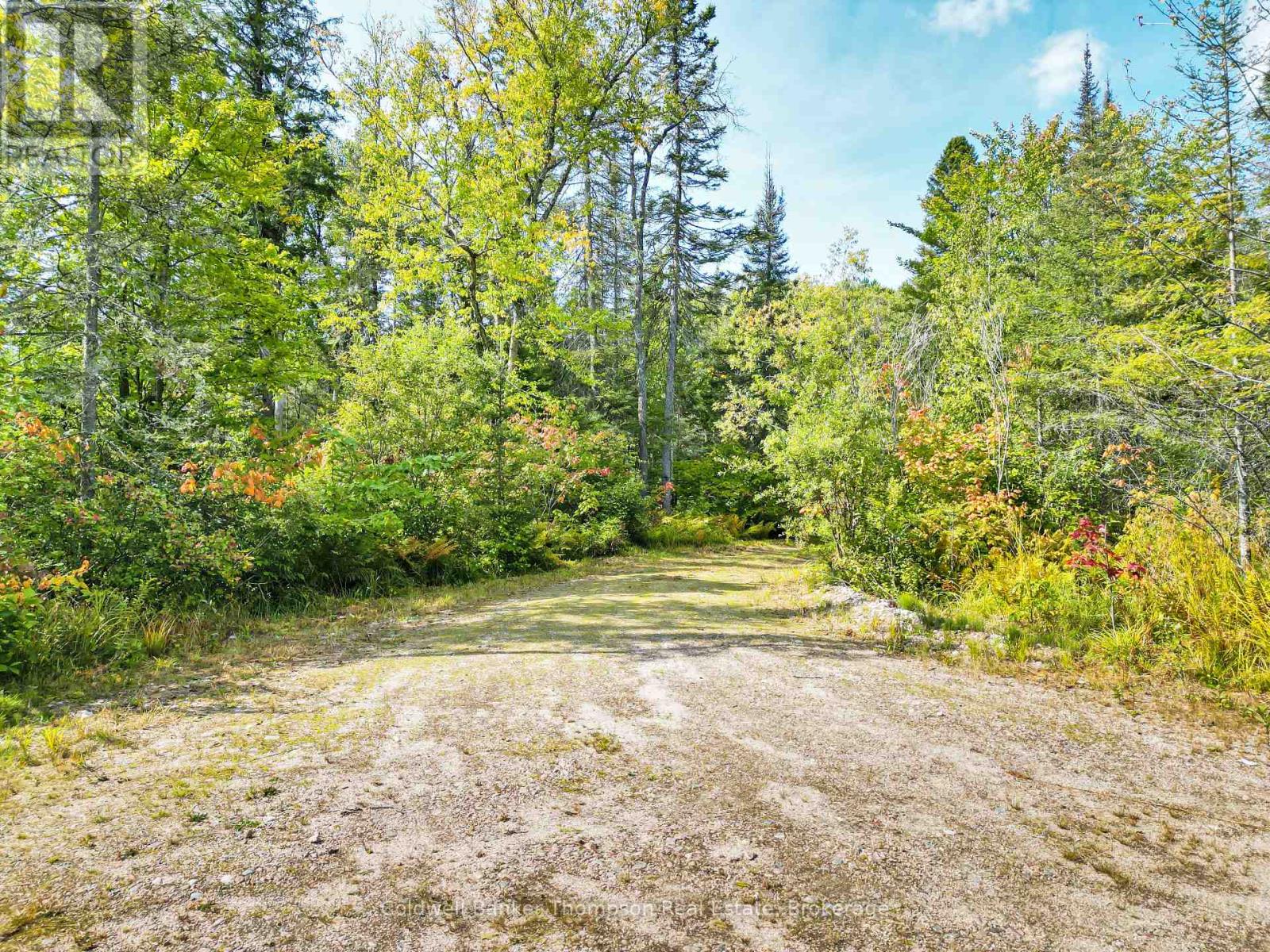 315 Scarlett Road, Machar, Ontario  P0A 1X0 - Photo 12 - X12394662