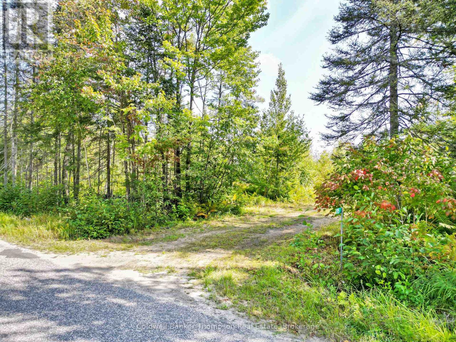 315 Scarlett Road, Machar, Ontario  P0A 1X0 - Photo 7 - X12394662
