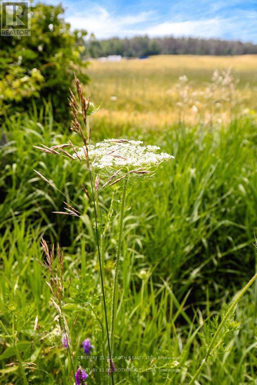 1499 Tay Point Road, Penetanguishene, Ontario  L9M 2C8 - Photo 17 - S12387537