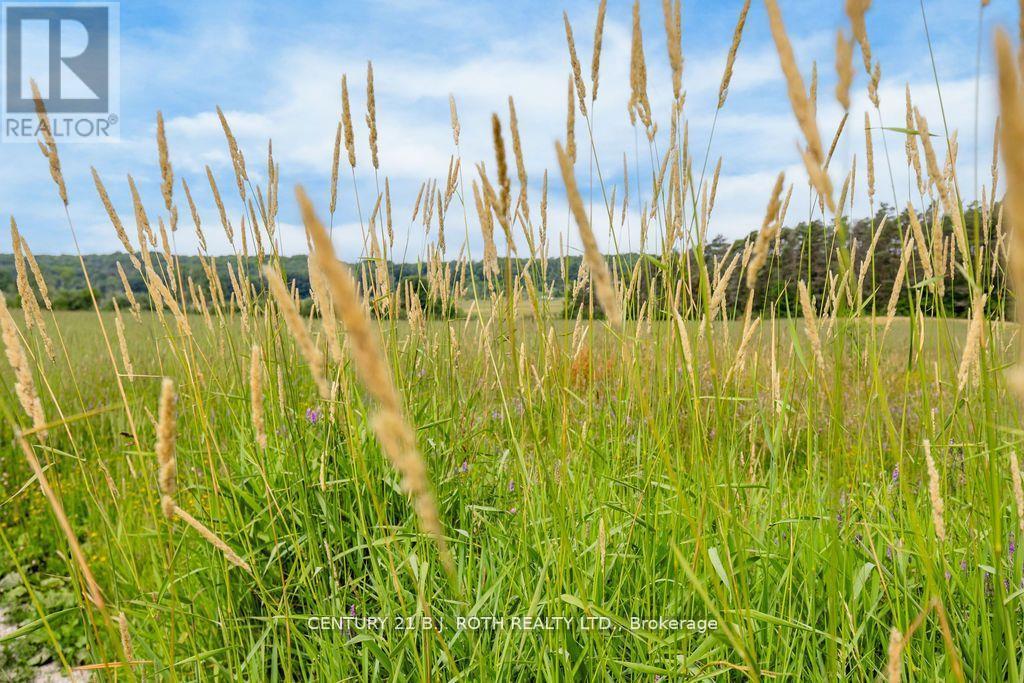 1499 Tay Point Road, Penetanguishene, Ontario  L9M 2C8 - Photo 11 - S12387537