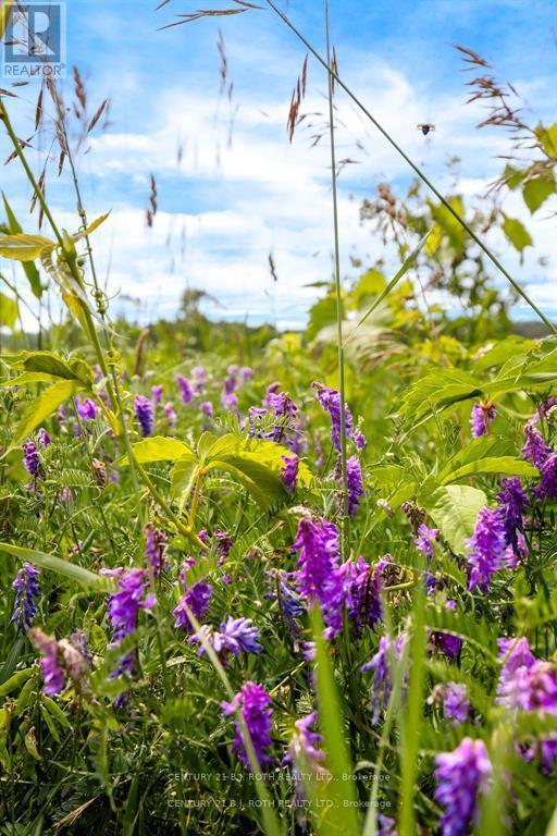 1499 Tay Point Road, Penetanguishene, Ontario  L9M 2C8 - Photo 15 - S12387537