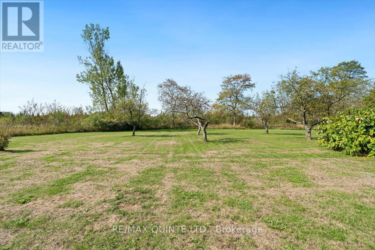 737 County Road 18 Road, Prince Edward County (Athol Ward), Ontario  K0K 1P0 - Photo 43 - X12394541