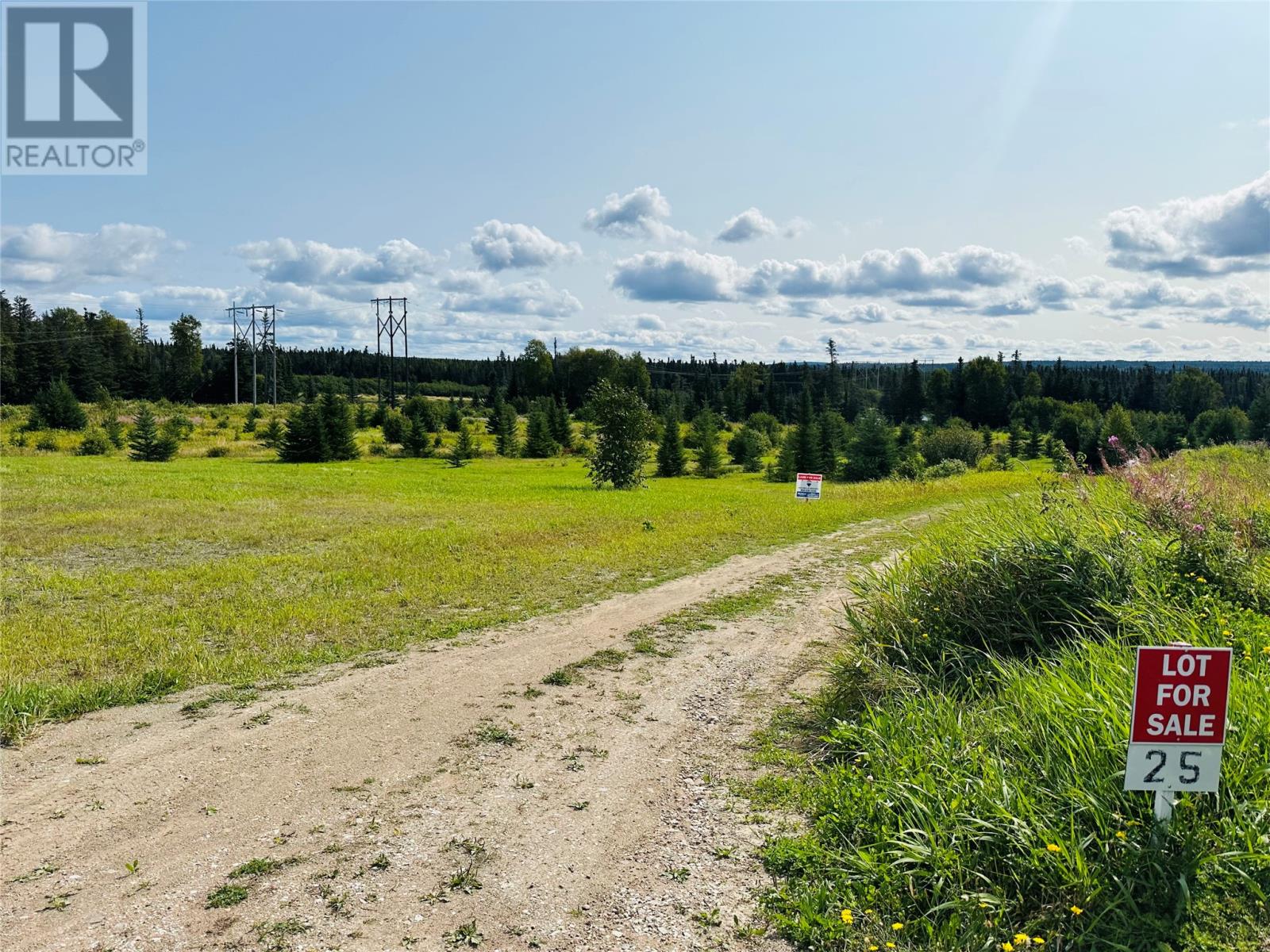 Lot 25 Upper Tranquil Waters Road, Reidville, Newfoundland & Labrador  A8A 1Z4 - Photo 2 - 1290214