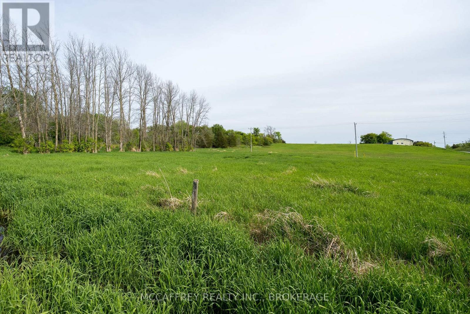 0 Bridge Street W, Greater Napanee, Ontario  K7R 3L1 - Photo 3 - X12394753