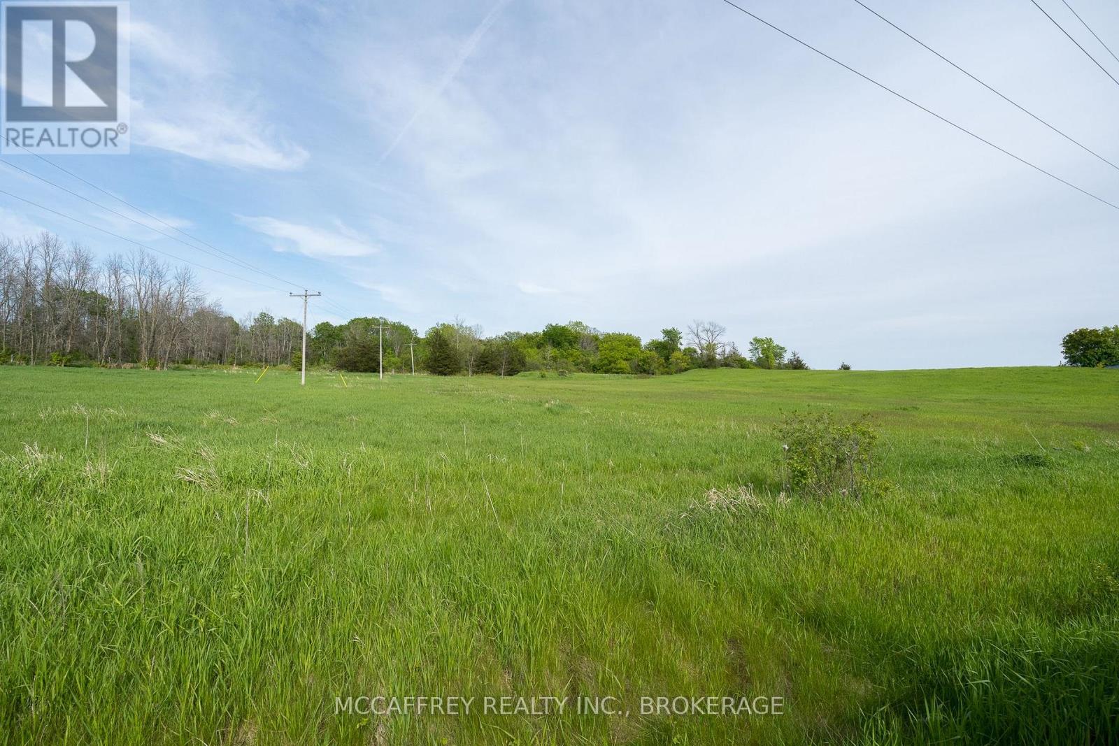 0 Bridge Street W, Greater Napanee, Ontario  K7R 3L1 - Photo 6 - X12394753