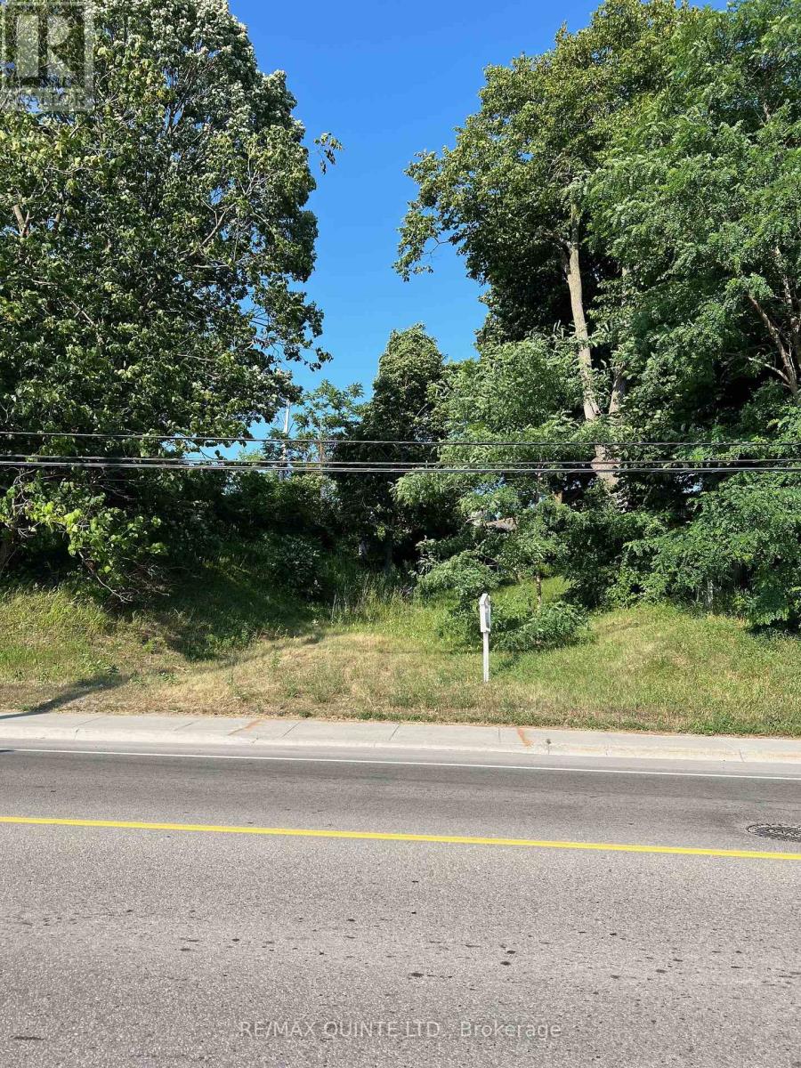 351 Sidney Street, Quinte West (Trenton Ward), Ontario  K8V 2V1 - Photo 3 - X12394720