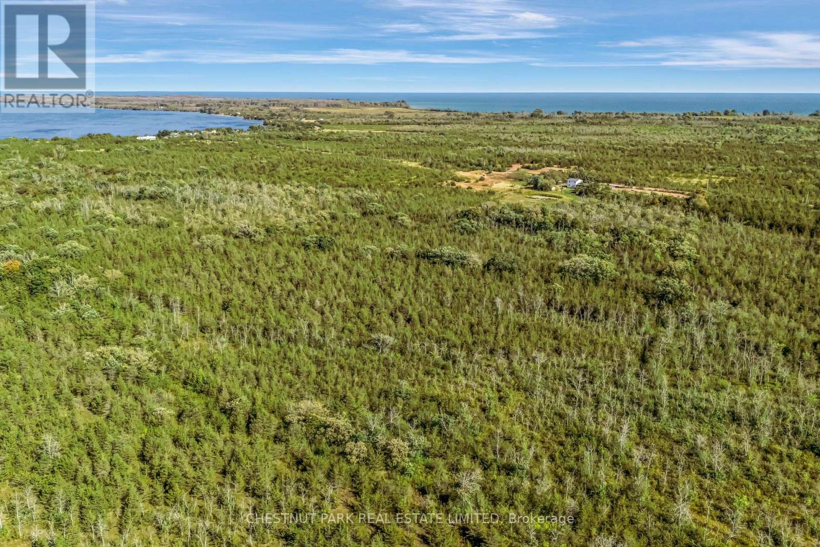 1253 Babylon Road, Prince Edward County, Ontario  K0K 2T0 - Photo 5 - X12394760