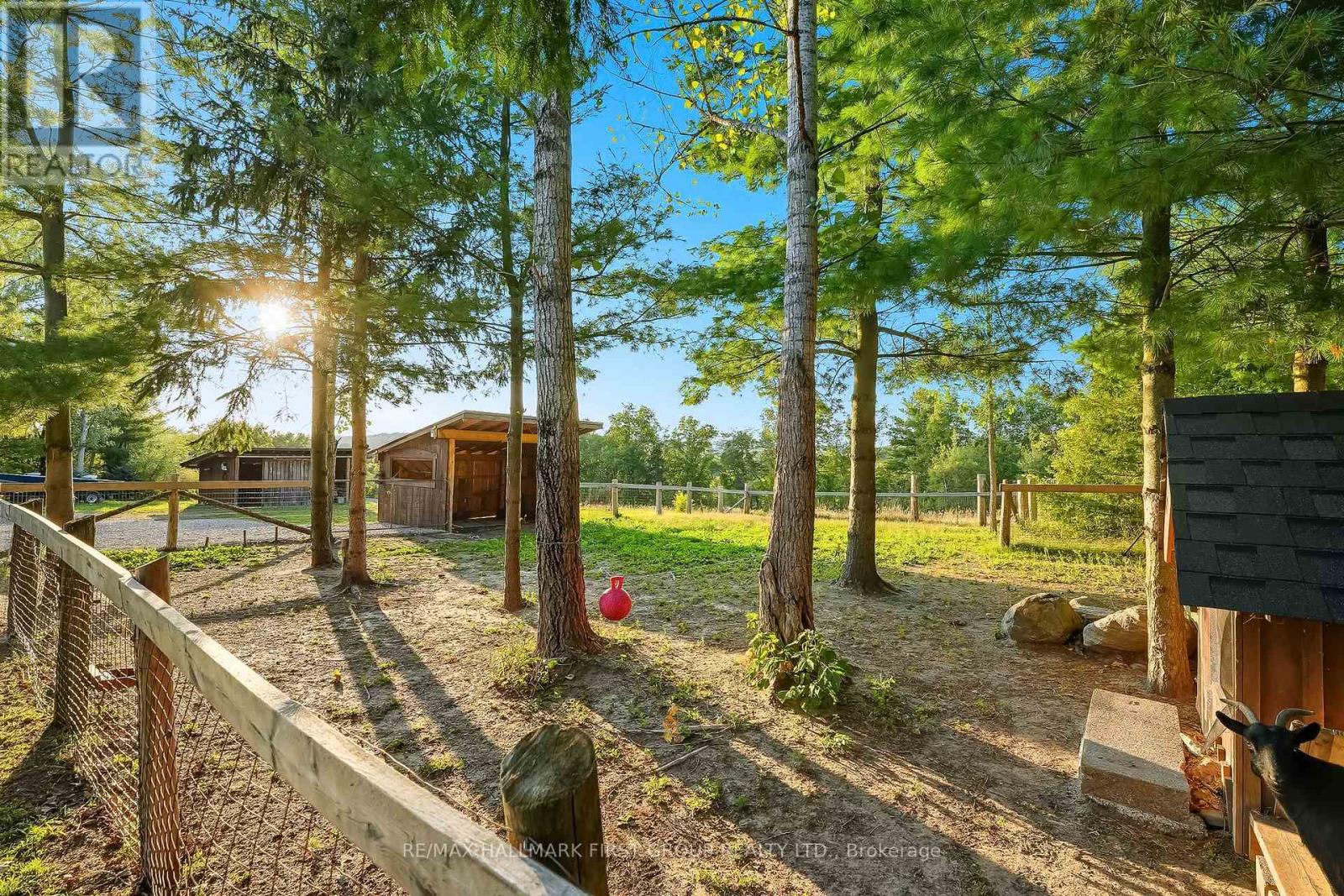 228 Dingman Road, Cramahe (Castleton), Ontario  K0K 1M0 - Photo 44 - X12394580