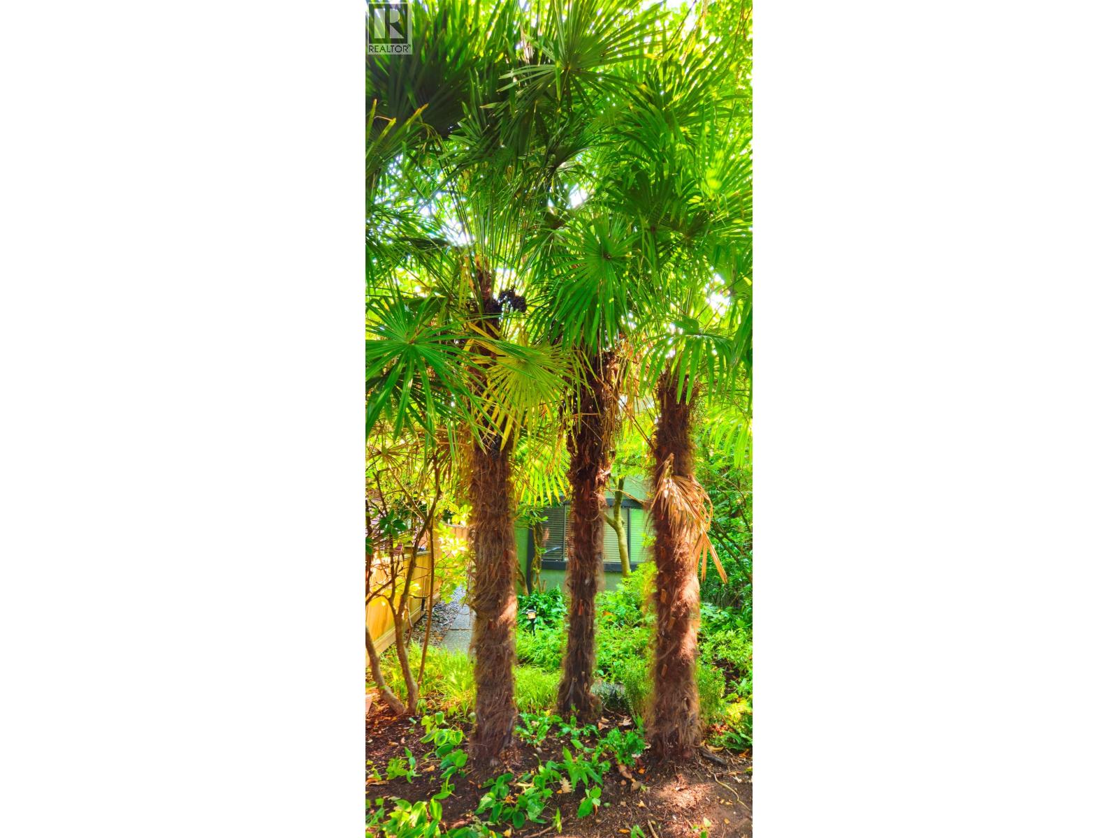 2214 W 14th Avenue, Vancouver, British Columbia  V6K 2W1 - Photo 26 - R3045949