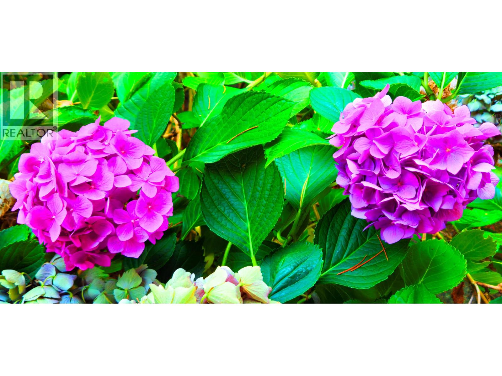 2214 W 14th Avenue, Vancouver, British Columbia  V6K 2W1 - Photo 21 - R3045949