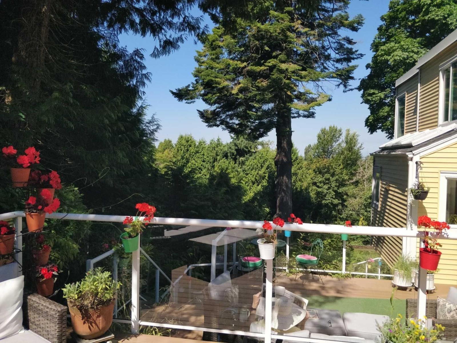 2724 Bayview Street, Surrey, British Columbia V4A 2Z4 - Photo 18 - R3040598