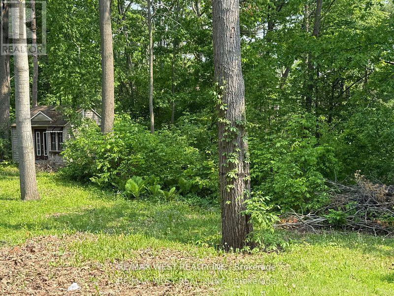 105 Shirley Avenue, Barrie (Sunnidale), Ontario  L4N 1N3 - Photo 35 - S12394834