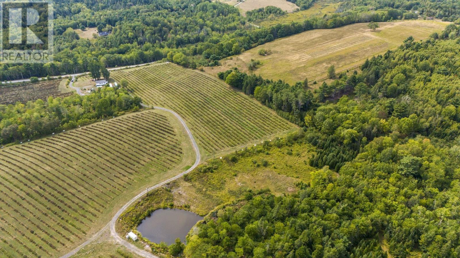 2242 Lower Branch Road, New Canada, Nova Scotia  B4V 4V5 - Photo 3 - 202522959