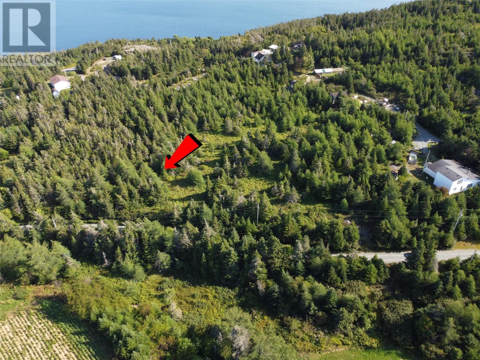 0 Cliff Meadows Road, Bareneed, Newfoundland & Labrador  A0A 1W0 - Photo 1 - 1290151