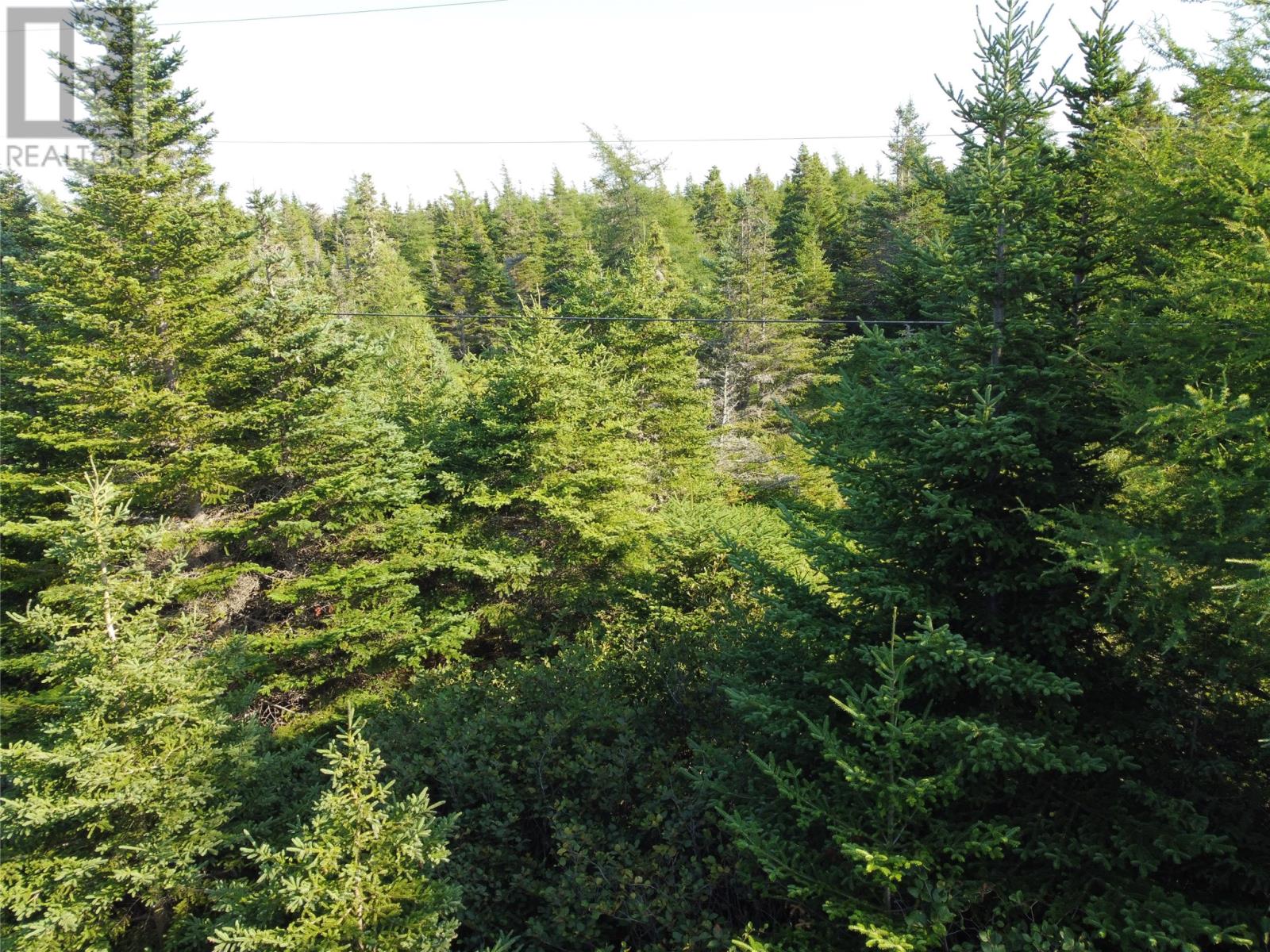 0 Cliff Meadows Road, Bareneed, Newfoundland & Labrador  A0A 1W0 - Photo 10 - 1290151