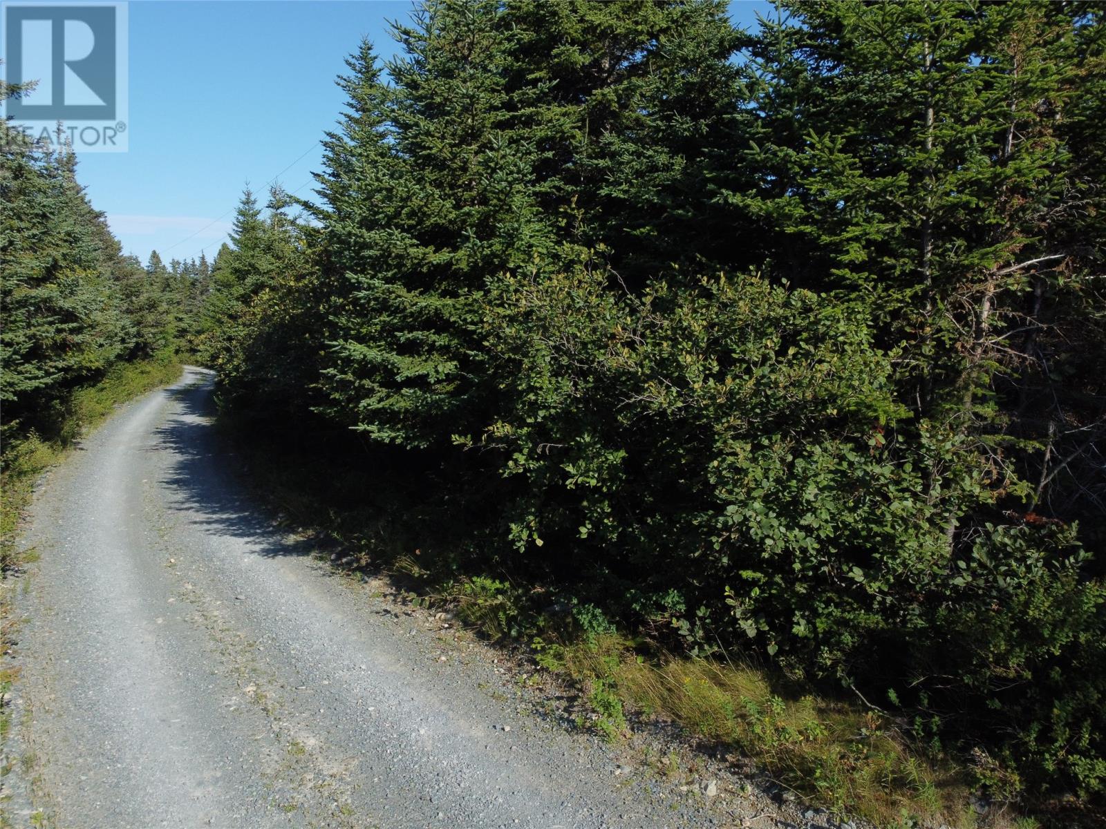 0 Cliff Meadows Road, Bareneed, Newfoundland & Labrador  A0A 1W0 - Photo 11 - 1290151