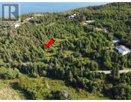 0 Cliff Meadows Road, Bareneed, Newfoundland & Labrador