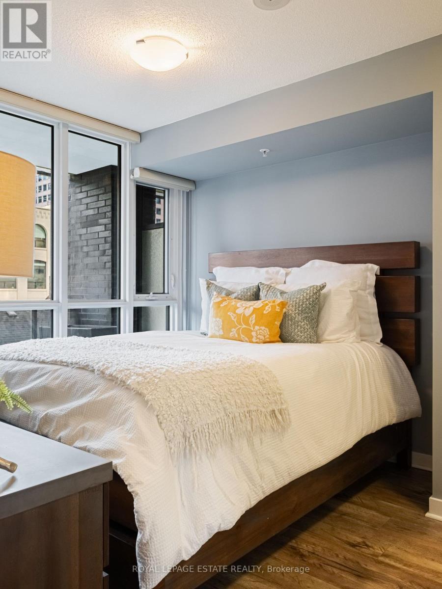 313 - 295 Adelaide Street W, Toronto (Waterfront Communities), Ontario  M5V 0L4 - Photo 12 - C12394957