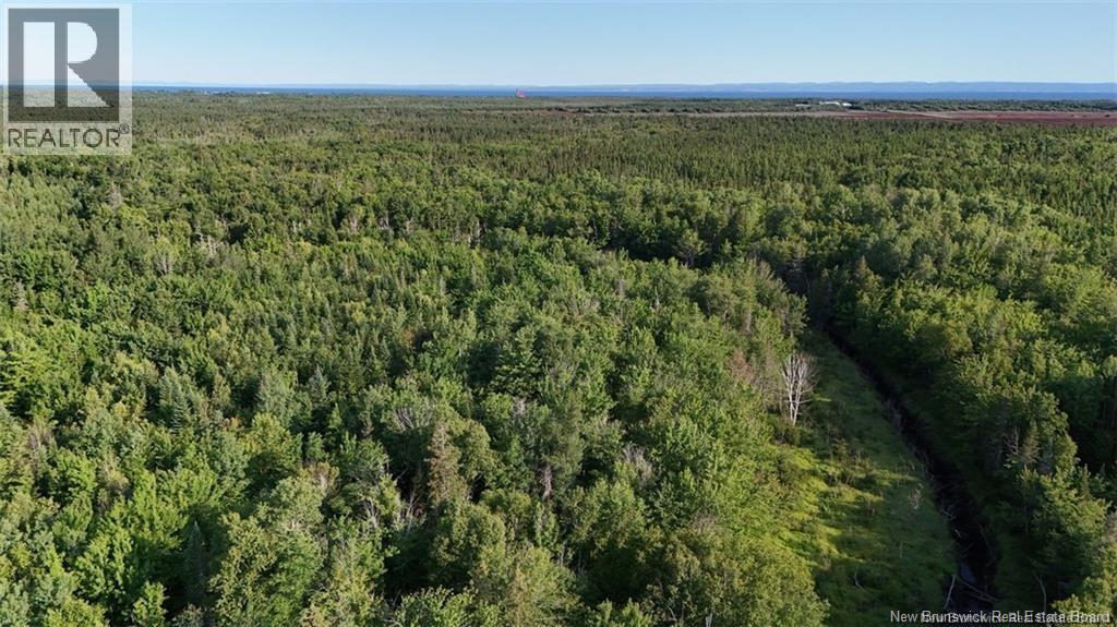 84 St Paul Route, Grande-Anse, New Brunswick  E8N 1L2 - Photo 42 - NB126429
