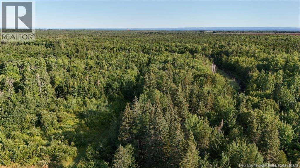 84 St Paul Route, Grande-Anse, New Brunswick  E8N 1L2 - Photo 43 - NB126429