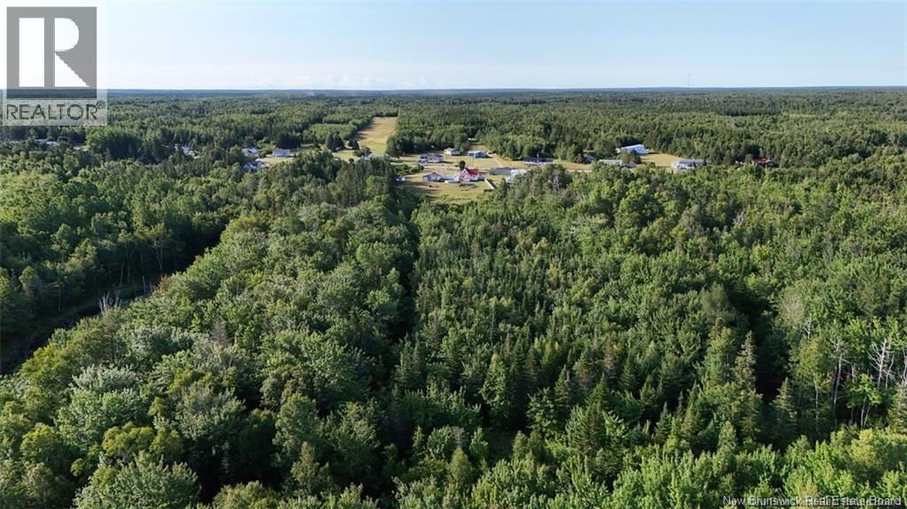 84 St Paul Route, Grande-Anse, New Brunswick  E8N 1L2 - Photo 40 - NB126429