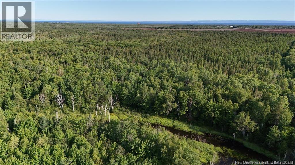 84 St Paul Route, Grande-Anse, New Brunswick  E8N 1L2 - Photo 41 - NB126429