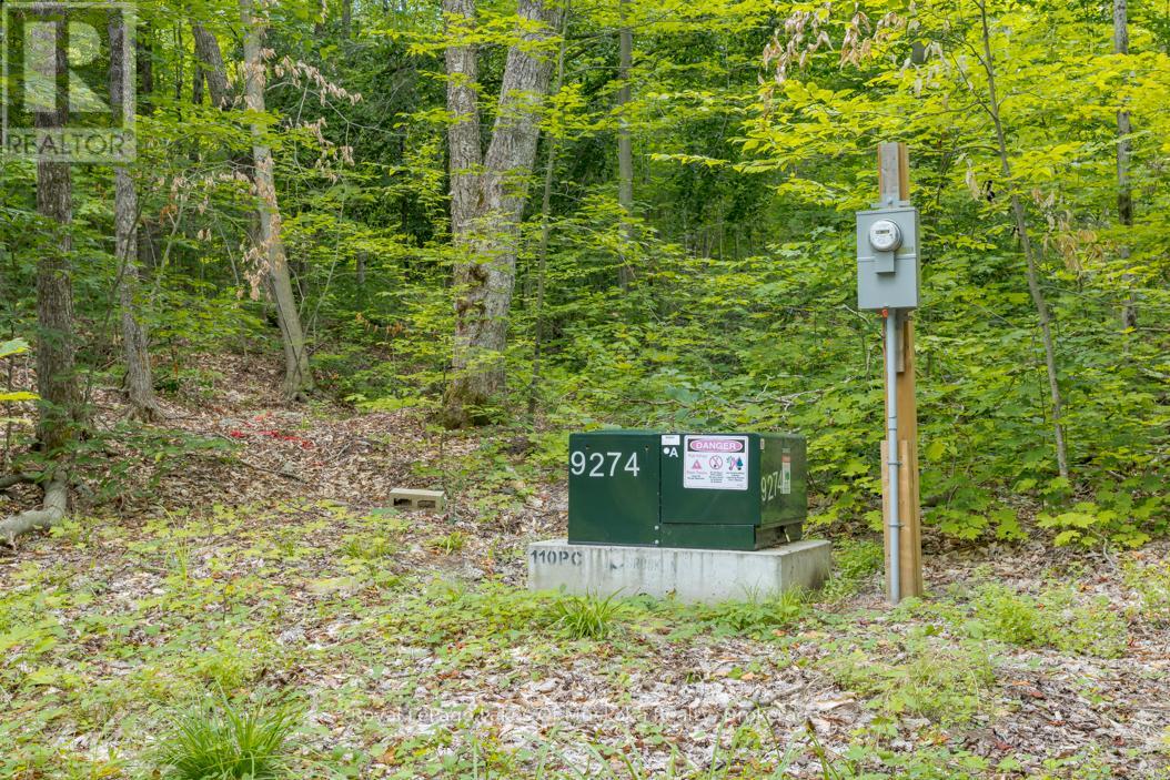 16 Long And Winding Road, Seguin, Ontario  P2A 2W8 - Photo 14 - X12395370