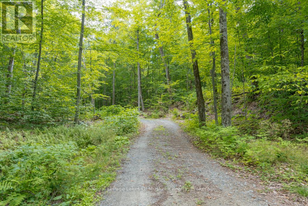 16 Long And Winding Road, Seguin, Ontario  P2A 2W8 - Photo 15 - X12395370