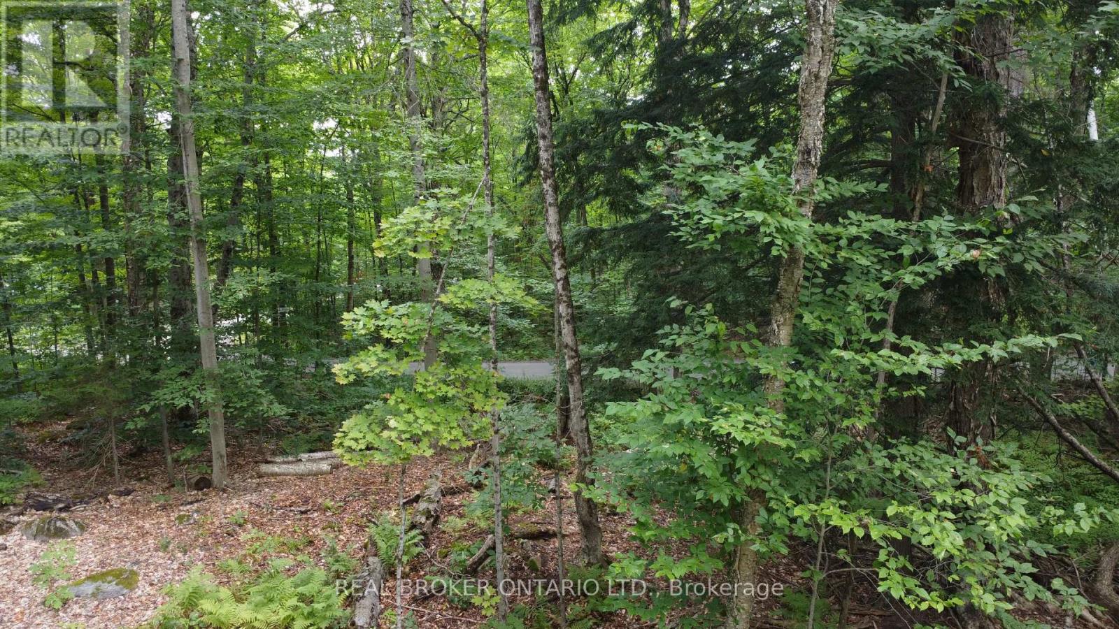 N/a Fader Drive, Algonquin Highlands (Stanhope), Ontario  K0M 1J1 - Photo 8 - X12395242