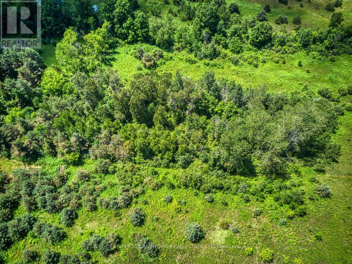 0 Teal Road, Quinte West (Murray Ward), Ontario  K8V 0A9 - Photo 29 - X12395593